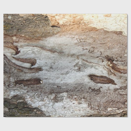 Baum-hölzernes Barken-Packpapier Geschenkpapier (Flach)