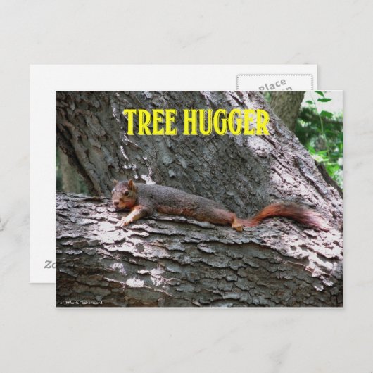 Baum Hugger! Postkarte (Vorne/Hinten)