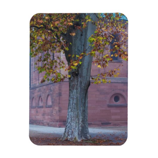 Baum im Dom Park | Deutschland Magnet (Vertikal)