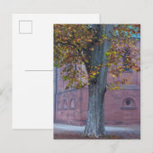 Baum im Dom Park | Deutschland Postkarte (Vorne/Hinten)