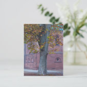 Baum im Dom Park | Deutschland Postkarte (Stehend Vorderseite)