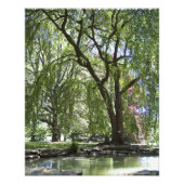 Baum im Frühjahr 20" x 16" Foto Print (Vorne)