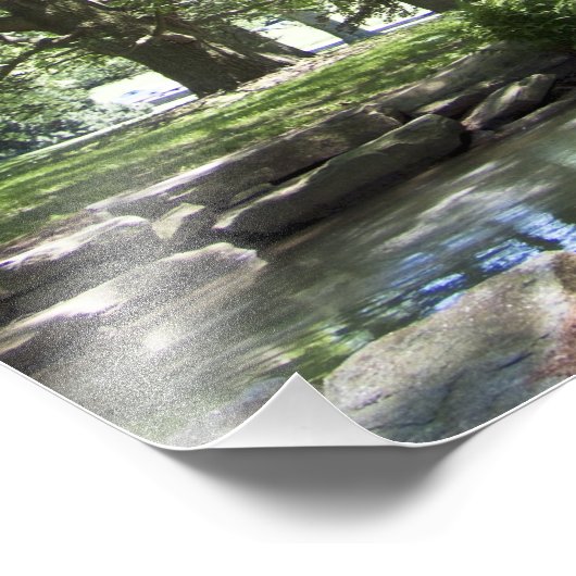 Baum im Frühjahr 20" x 16" Foto Print (Ecke)