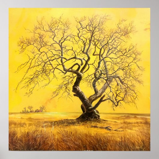 Baum im goldenen Licht Poster (Vorne)