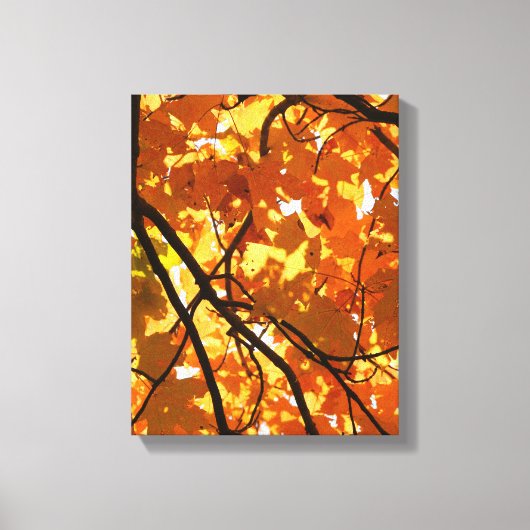 Baum im Herbst Leinwanddruck (Vorderseite)