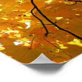 Baum im Herbst Poster (Ecke)