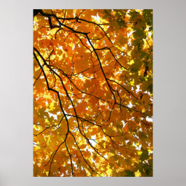 Baum im Herbst Poster