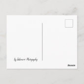 Baum im Nebel Postkarte (Rückseite)