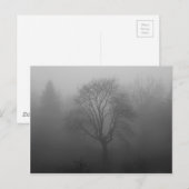 Baum im Nebel Postkarte (Vorne/Hinten)