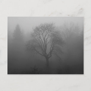 Baum im Nebel Postkarte