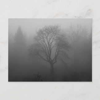Baum im Nebel Postkarte