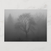 Baum im Nebel Postkarte (Vorderseite)