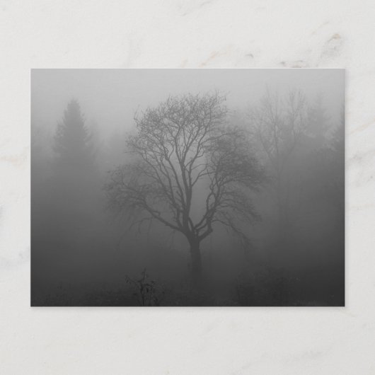 Baum im Nebel Postkarte (Vorderseite)