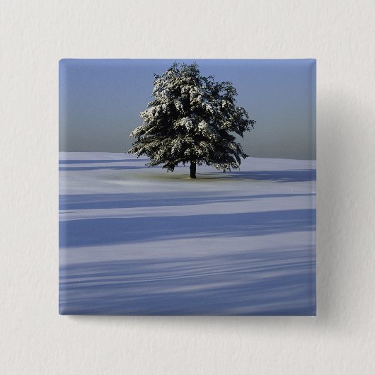 Baum im Schnee umfaßte Landschaft Button (Vorderseite)