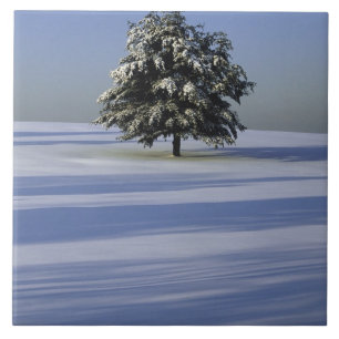 Baum im Schnee umfaßte Landschaft Fliese