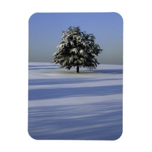 Baum im Schnee umfaßte Landschaft Magnet