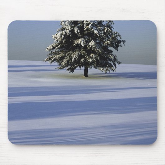 Baum im Schnee umfaßte Landschaft Mousepad (Vorne)