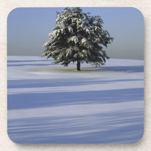 Baum im Schnee umfaßte Landschaft Untersetzer