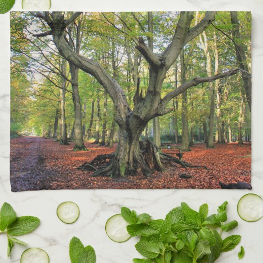 Baum im Wald Geschirrtuch (Gefaltet)