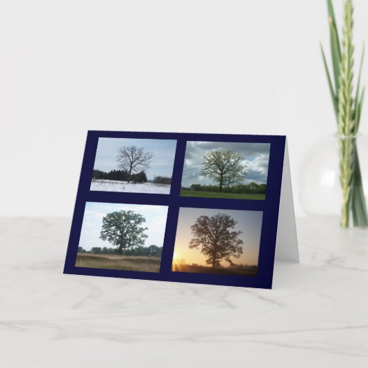 Baum in 4 Jahreszeiten Karte (Vorderseite)