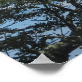 Baum in den Wolken Poster (Ecke)