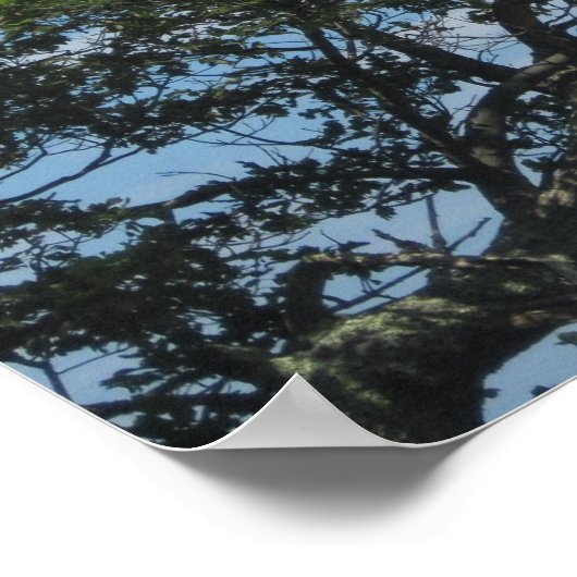 Baum in den Wolken Poster (Ecke)