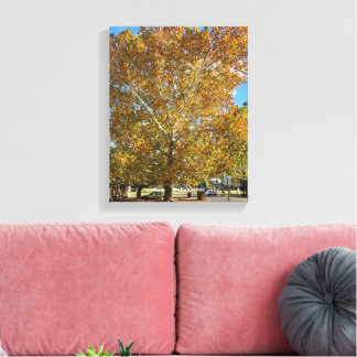 Baum in der goldenen Stunde Leinwanddruck