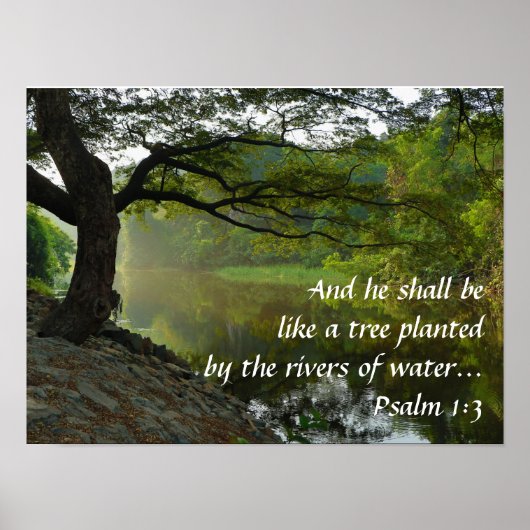 Baum in der Nähe des Wassers, Psalm 1:3, Schrift Poster (Vorne)