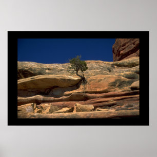 Baum in der Wand Poster