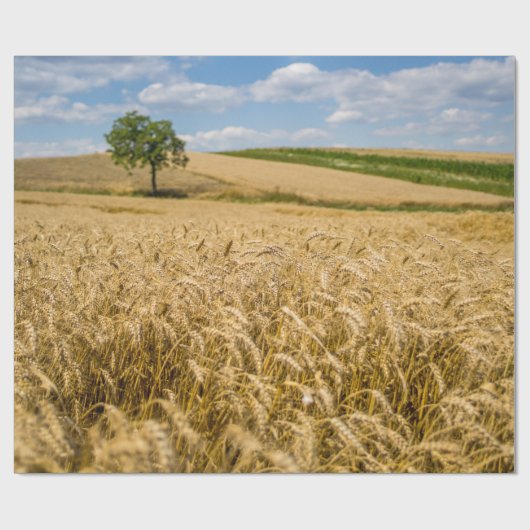 Baum in der Weizen-Feld-Landschaft Geschenkpapier (Flach)