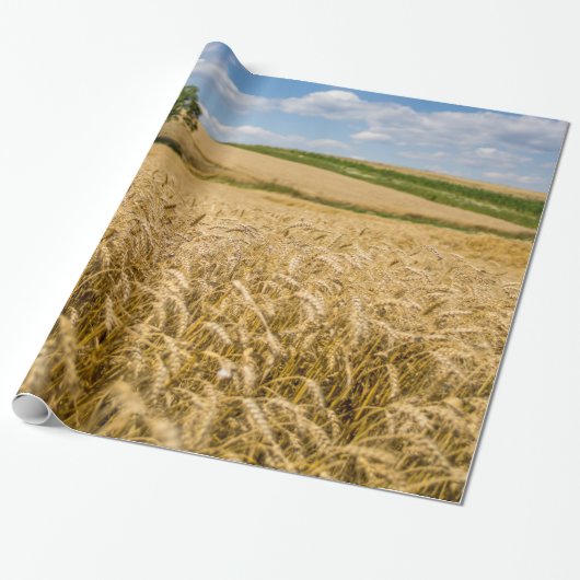 Baum in der Weizen-Feld-Landschaft Geschenkpapier (Ungerollt)