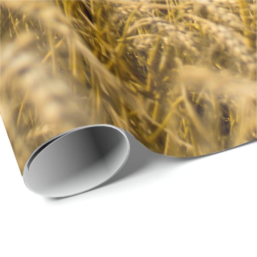 Baum in der Weizen-Feld-Landschaft Geschenkpapier (Rolleneckpunkt)