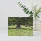Baum in einem Feld Postkarte (Stehend Vorderseite)