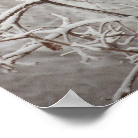 Baum in einem Schneesturm-Poster Poster (Ecke)