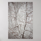 Baum in einem Schneesturm-Poster Poster (Vorne)