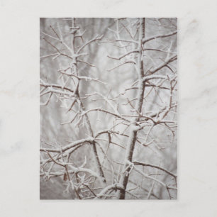 Baum in einer Schneesturm-Postkarte Postkarte