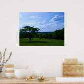Baum in Field & Beautiful Sky Poster (Küche)