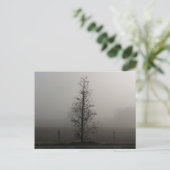 Baum in Fog 038 Postkarte (Stehend Vorderseite)