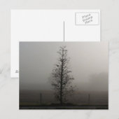 Baum in Fog 038 Postkarte (Vorne/Hinten)