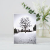 Baum in Landschaft Früher Frühlings Schnee Postkarte (Stehend Vorderseite)