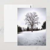 Baum in Landschaft Frühjahrsschnee Postkarte (Vorne/Hinten)