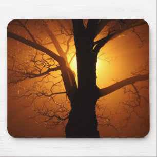 Baum in Nebel bei nächtlicher Mousepad