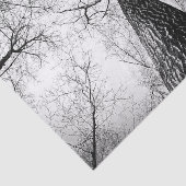 Baum in Schwarzweiss Seidenpapier (Ausschnitt)