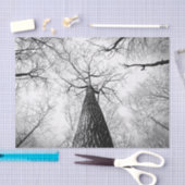 Baum in Schwarzweiss Seidenpapier (Handwerk)