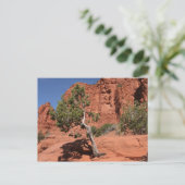 Baum in Sedona, Arizona Postkarte (Stehend Vorderseite)
