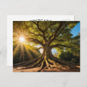 Baum in Sonnenstrahlen Postkarte (Vorne/Hinten)