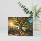 Baum in Sonnenstrahlen Postkarte (Stehend Vorderseite)