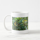 Baum, Italien Kaffeetasse (Links)