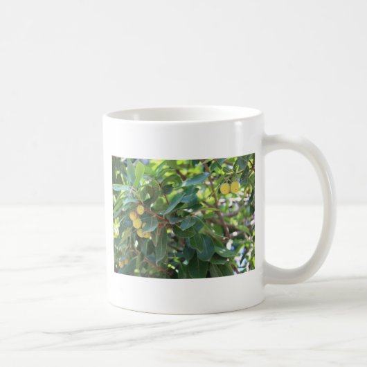 Baum, Italien Kaffeetasse (Rechts)