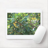 Baum, Italien Mousepad (Mit Mouse)